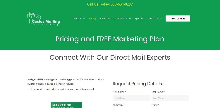 стоимость Cactus Mailing