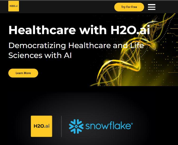 h20.ai homepage