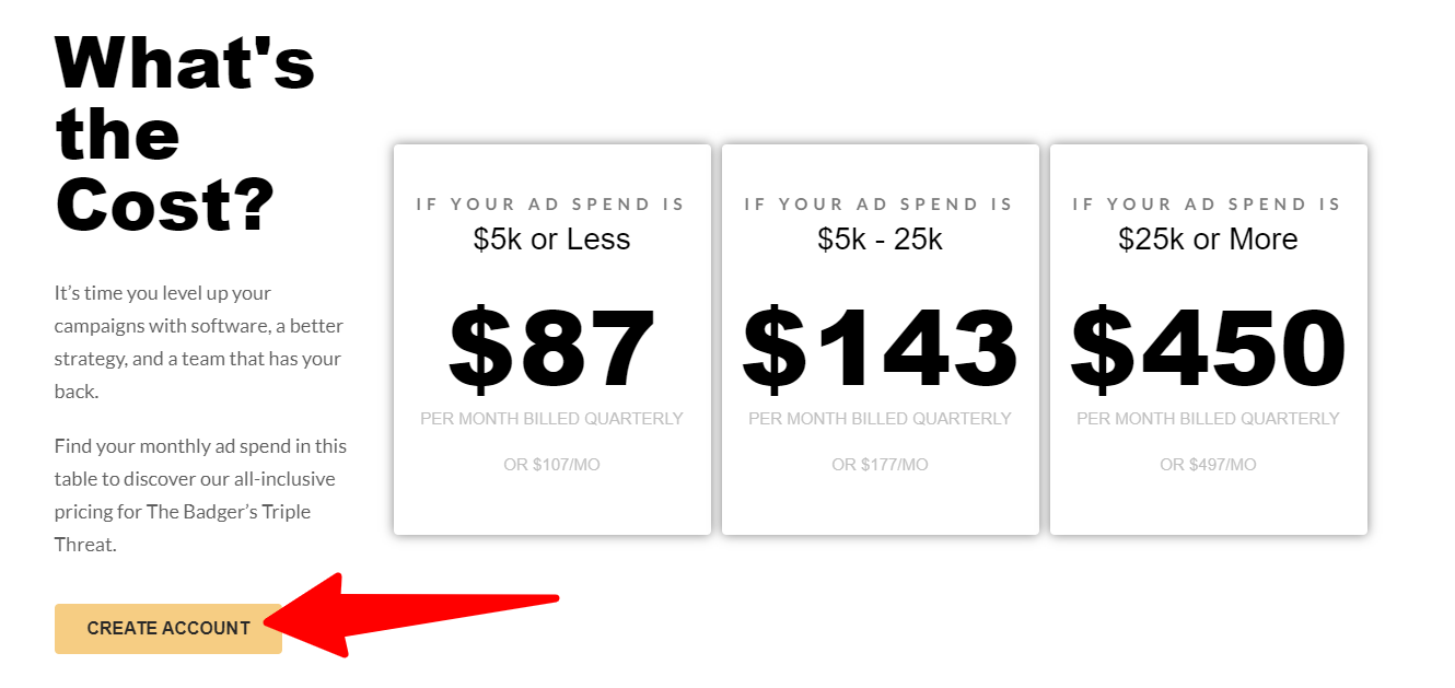Ad-Badger- Pricing Plan