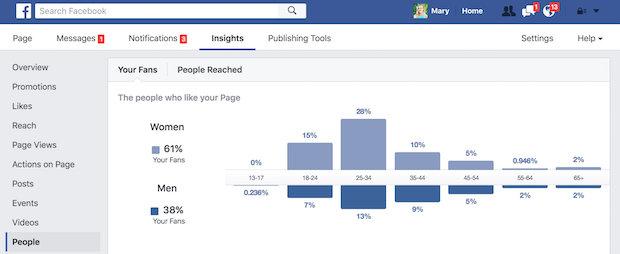 Facebook page insights