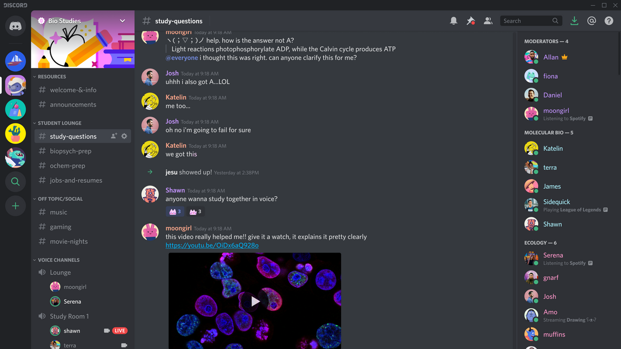 Может ли Discord быть бесплатной альтернативой Microsoft Teams? Может ли Discord быть бесплатной альтернативой Microsoft Teams?