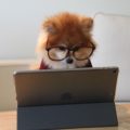 47 статистических данных по PPC для расширения возможностей вашей маркетинговой стратегии в 2022 году
