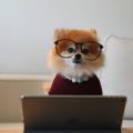 4 шаблона email-маркетинга для любого бизнеса