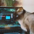Как разработать дизайн для вашего бренда без дизайнера