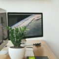 Чему популярная многопользовательская ролевая игра может научить нас о лояльности клиентов
