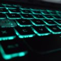 4 совета по использованию чатботов от владельцев бизнеса
