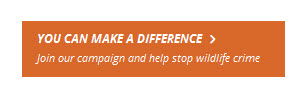 you-can-make-a-difference